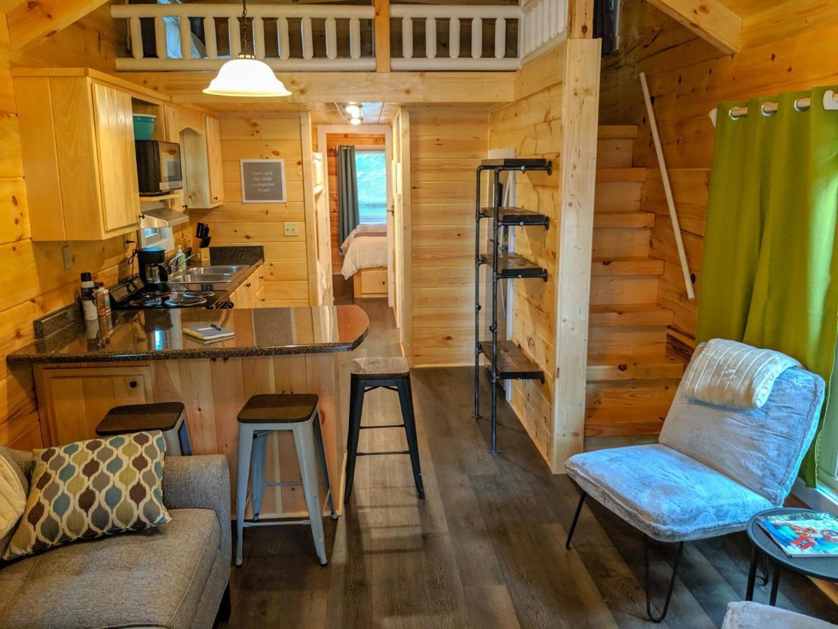 Elise Cabin Forest Retreat 5 Mins To Downtown Chattanooga Zewnętrze zdjęcie