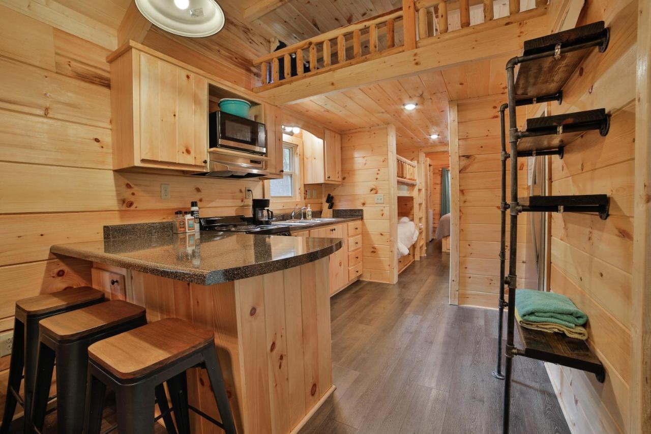 Elise Cabin Forest Retreat 5 Mins To Downtown Chattanooga Zewnętrze zdjęcie